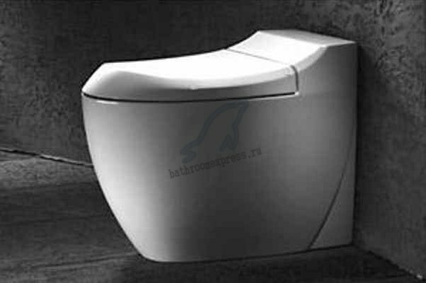 ������ ��������� Jacuzzi Morphosis